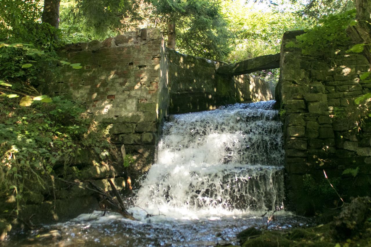 דטמולד Haus Am Wasserfall מראה חיצוני תמונה